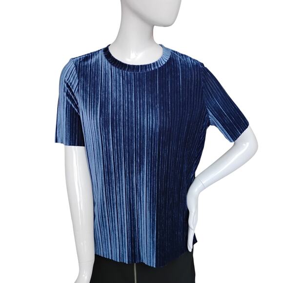 Free Press Clothing Plisse Blouse Size Small Deep Blue Short Sleeve Pullover - Picture 1 of 9